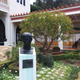 Illustration for article titled Pictures from the Getty Villa